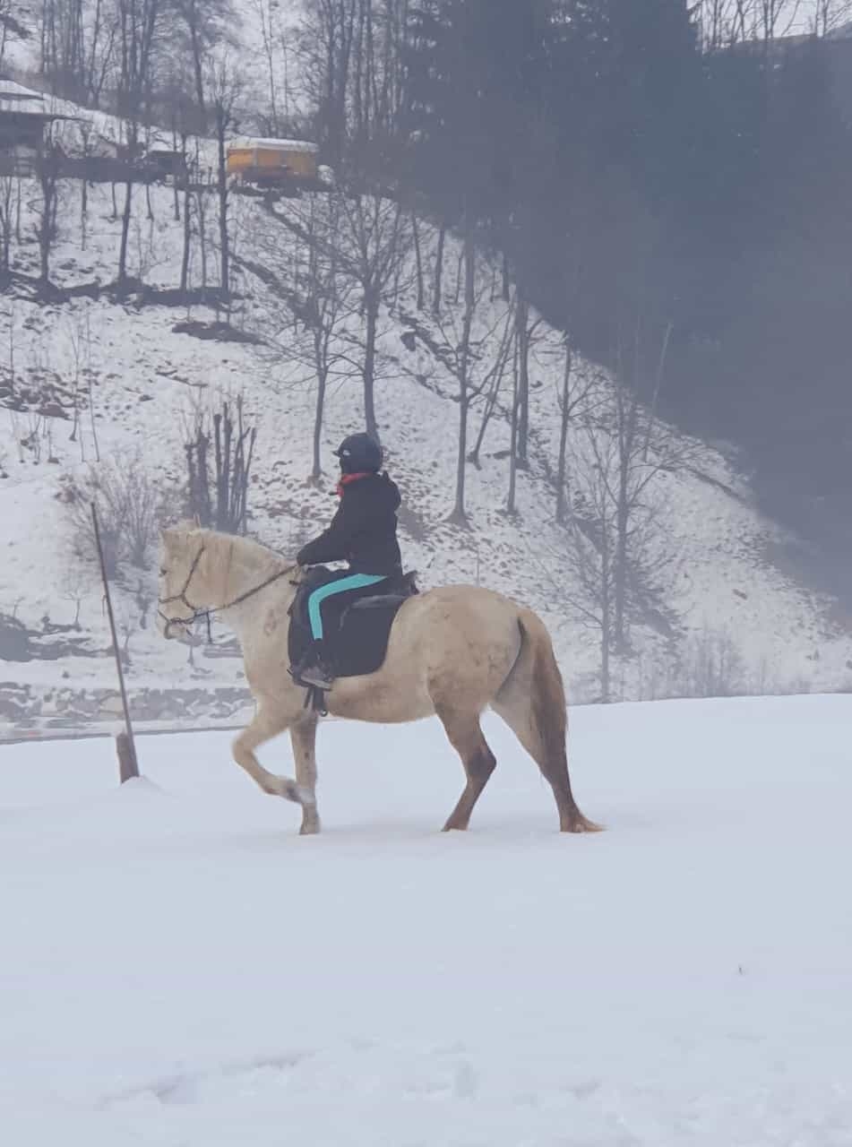 Tour a cavallo per principianti con vista montagna a Belluno